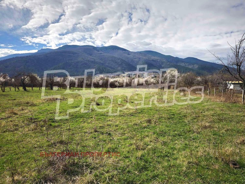 Til salg  Jord region Kyustendil , Sapareva banya , 3.253 dka | 79997730 - billede [4]