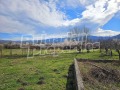 Продава ЗЕМЕДЕЛСКА ЗЕМЯ, гр. Сапарева баня, област Кюстендил, снимка 10
