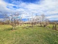 Продава ЗЕМЕДЕЛСКА ЗЕМЯ, гр. Сапарева баня, област Кюстендил, снимка 7