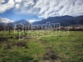 Продава ЗЕМЕДЕЛСКА ЗЕМЯ, гр. Сапарева баня, област Кюстендил, снимка 5