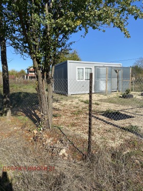 ����� ������� ����,�. ��������, ������ ������