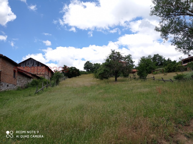 Продава ПАРЦЕЛ, с. Годлево, област Благоевград, снимка 4 - Парцели - 52784474