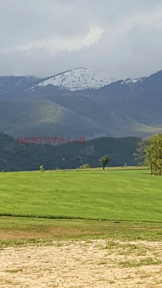 Продава ЗЕМЕДЕЛСКА ЗЕМЯ, с. Мътеница, област Пловдив, снимка 2 - Земеделска земя - 52706772