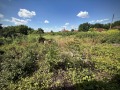 Продава КЪЩА, област Велико Търново, с. Петко Каравелово • 23500 € / 45962.00 лв. • 55570998 16