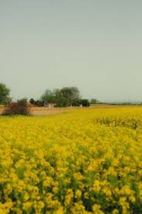 ������� ���������� ���� | Imot.bg � ����������� 1