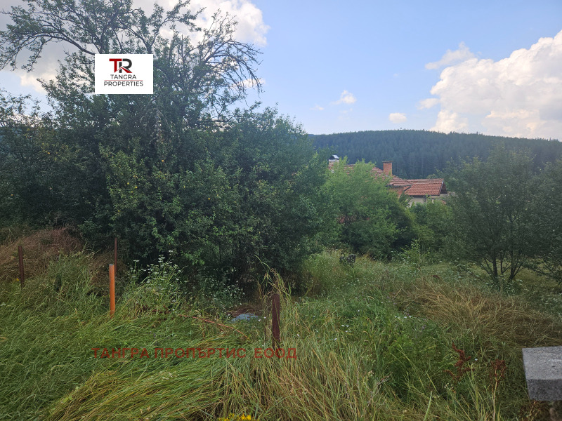 Til salg  Hus Gulv region Pernik , Dren , 54 kvm | 42612196 - billede [14]