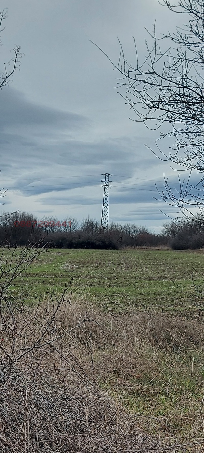 Продава ПАРЦЕЛ, гр. Видин, Промишлена зона - Юг, снимка 6 - Парцели - 52780340