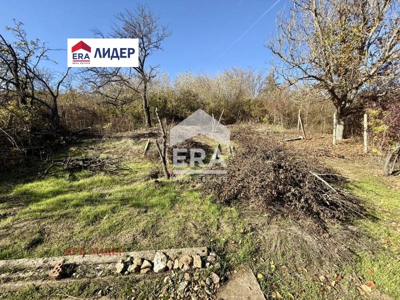 Продава ПАРЦЕЛ, с. Николово, област Русе, снимка 2 - Парцели - 53779509