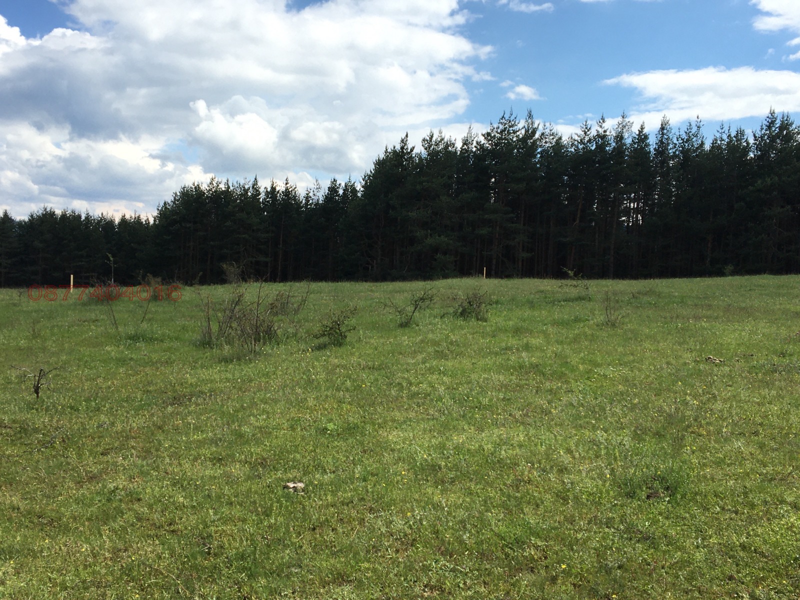 Продава ПАРЦЕЛ, гр. Велинград, област Пазарджик, снимка 9 - Парцели - 56183959