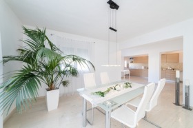 ����� ������� ����������,���� �������, ������