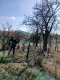 Продава ПАРЦЕЛ, с. Богданов дол, област Перник, снимка 2