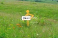 Продава ПАРЦЕЛ, гр. Игнатиево, област Варна, снимка 2