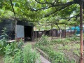 Продава ПАРЦЕЛ, с. Знаменосец, област Стара Загора, снимка 5