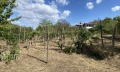 Продава КЪЩА, област Видин, с. Арчар • 15555 € • 98760054 — Holmes.bg