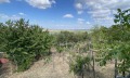 Продава КЪЩА, област Видин, с. Арчар • 15555 € • 98760054 — Holmes.bg