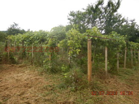 ������� ���� | Imot.bg � ����� ������ 4