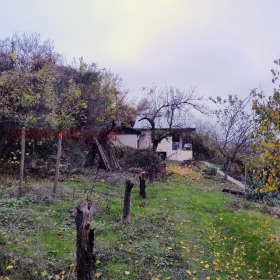 ����� ������� ����,������ ��� �85, ������ ����