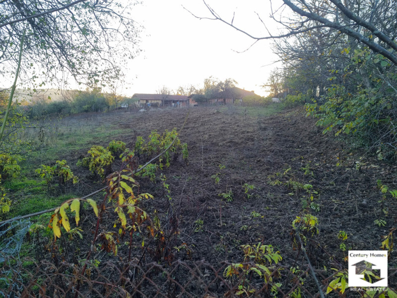 Продава ПАРЦЕЛ, с. Плаково, област Велико Търново, снимка 3 - Парцели - 52468629