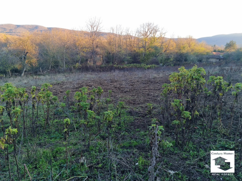 Продава ПАРЦЕЛ, с. Плаково, област Велико Търново, снимка 5 - Парцели - 52468629