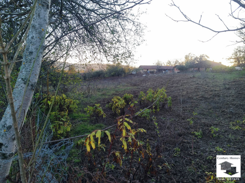 Продава ПАРЦЕЛ, с. Плаково, област Велико Търново, снимка 4 - Парцели - 52468629