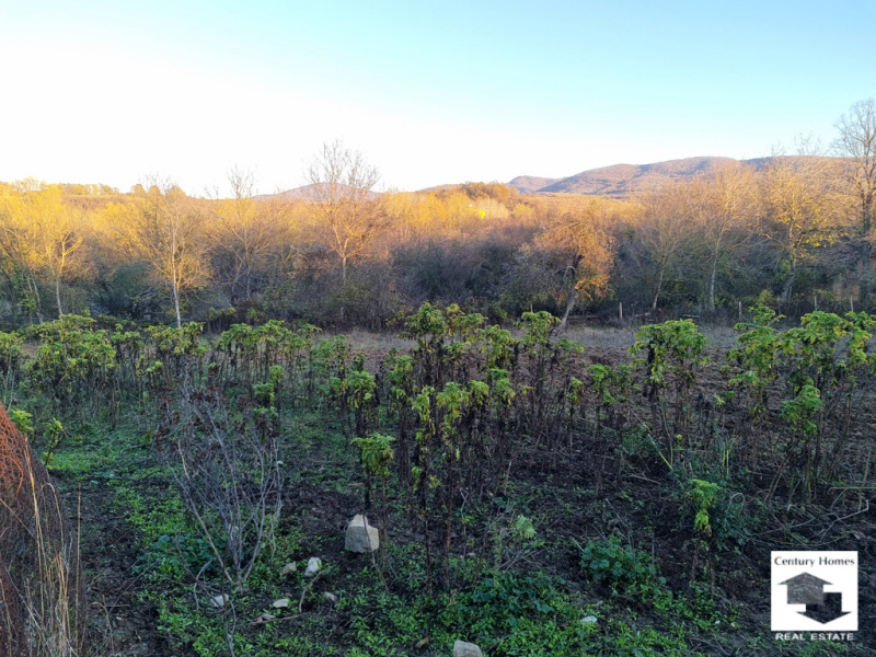 Продава ПАРЦЕЛ, с. Плаково, област Велико Търново, снимка 7 - Парцели - 52468629