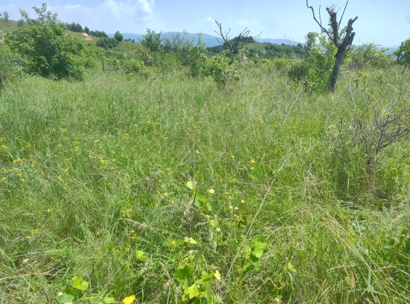 Te koop  Land regio Blagoëvgrad , Gotse Deltsjev , 1 dka | 79202646