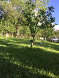 Продава КЪЩА, с. Жиленци, област Кюстендил, снимка 5