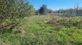 Продава ПАРЦЕЛ, с. Сърнево, област Стара Загора, снимка 2