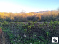 Продава ПАРЦЕЛ, с. Плаково, област Велико Търново, снимка 7