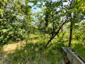 Продава ПАРЦЕЛ, област София, с. Елешница • 40000 € • 68136703 — Holmes.bg