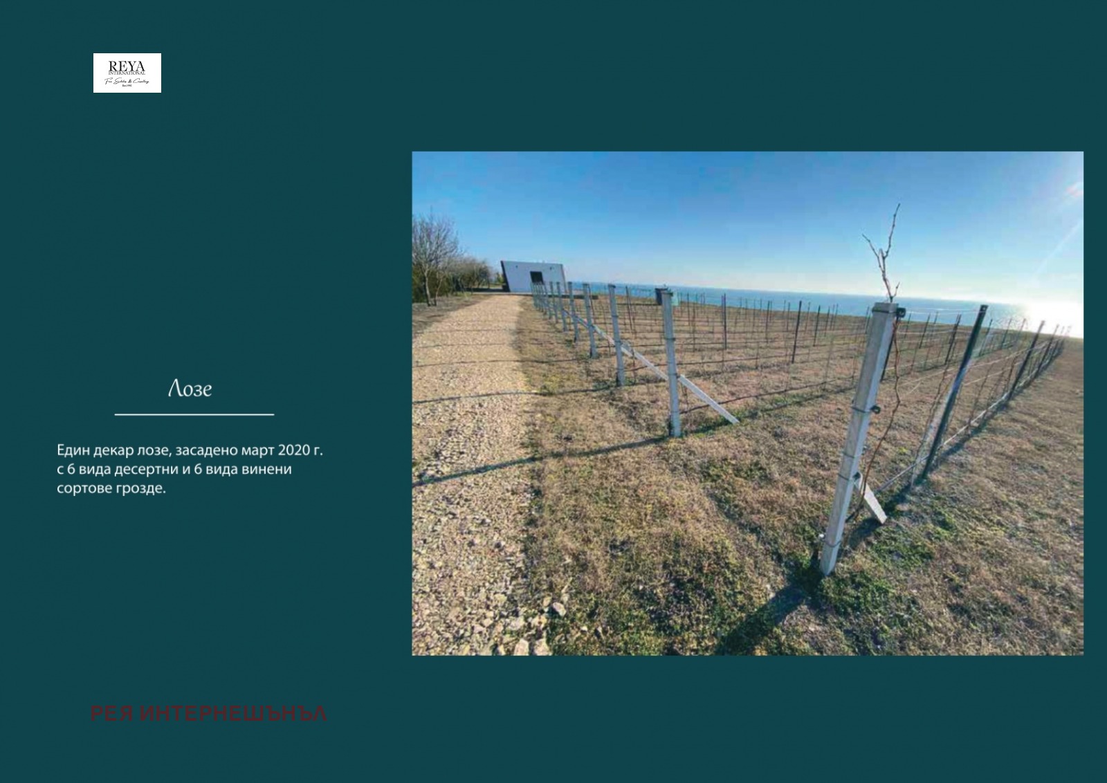 ������� ����� | Imot.bg � ����������� 15