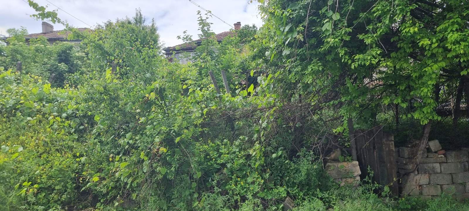 ������� ������ | Imot.bg � ����������� 7