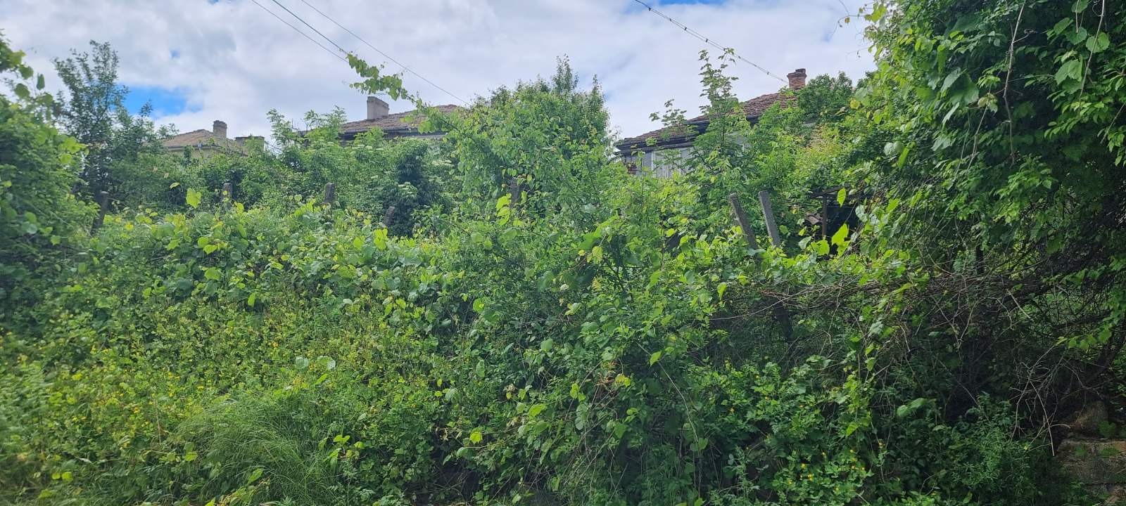 ������� ������ | Imot.bg � ����������� 4