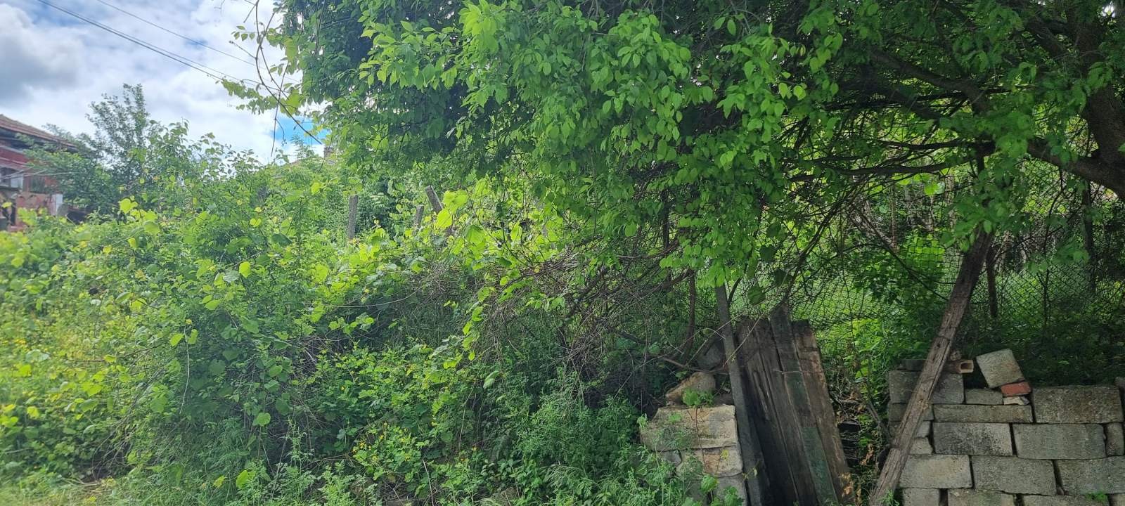 ������� ������ | Imot.bg � ����������� 1