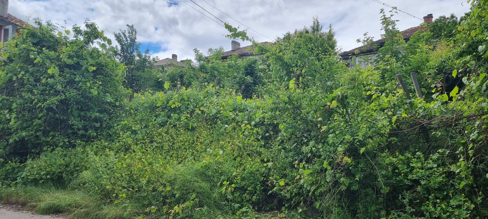 ������� ������ | Imot.bg � ����������� 5