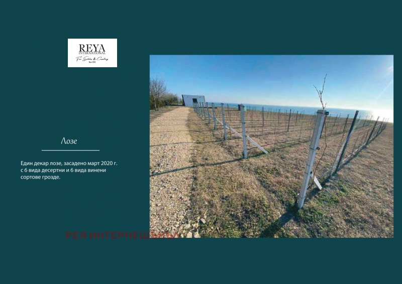 Продава ХОТЕЛ, гр. Каварна, област Добрич, снимка 14 - Хотели - 52873702