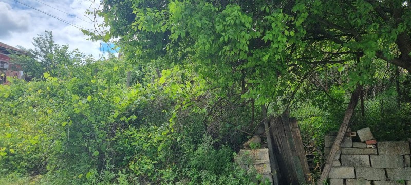 Προς πώληση  Οικόπεδο Ραζγραδ , Αβητρυσ , 348 τ.μ | 23879508