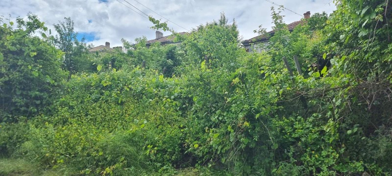 Προς πώληση  Οικόπεδο Ραζγραδ , Αβητρυσ , 348 τ.μ | 23879508 - εικόνα [3]