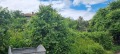 Продава ПАРЦЕЛ, град Разград, Абитрус • 200000 лв. • 47864072 — Holmes.bg