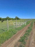 Продава  Парцел област Варна , с. Кичево , 5601 кв.м | 11732029 - изображение [4]