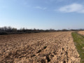 Продава  Земеделска земя област Пазарджик , с. Гелеменово , 11 дка | 61664233 - изображение [5]