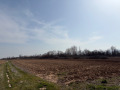 Продава  Земеделска земя област Пазарджик , с. Гелеменово , 11 дка | 61664233 - изображение [7]