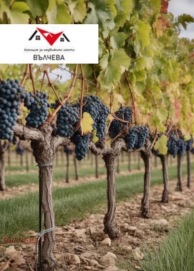 ����� ������� ���������� ����,��. ������, ������ �������