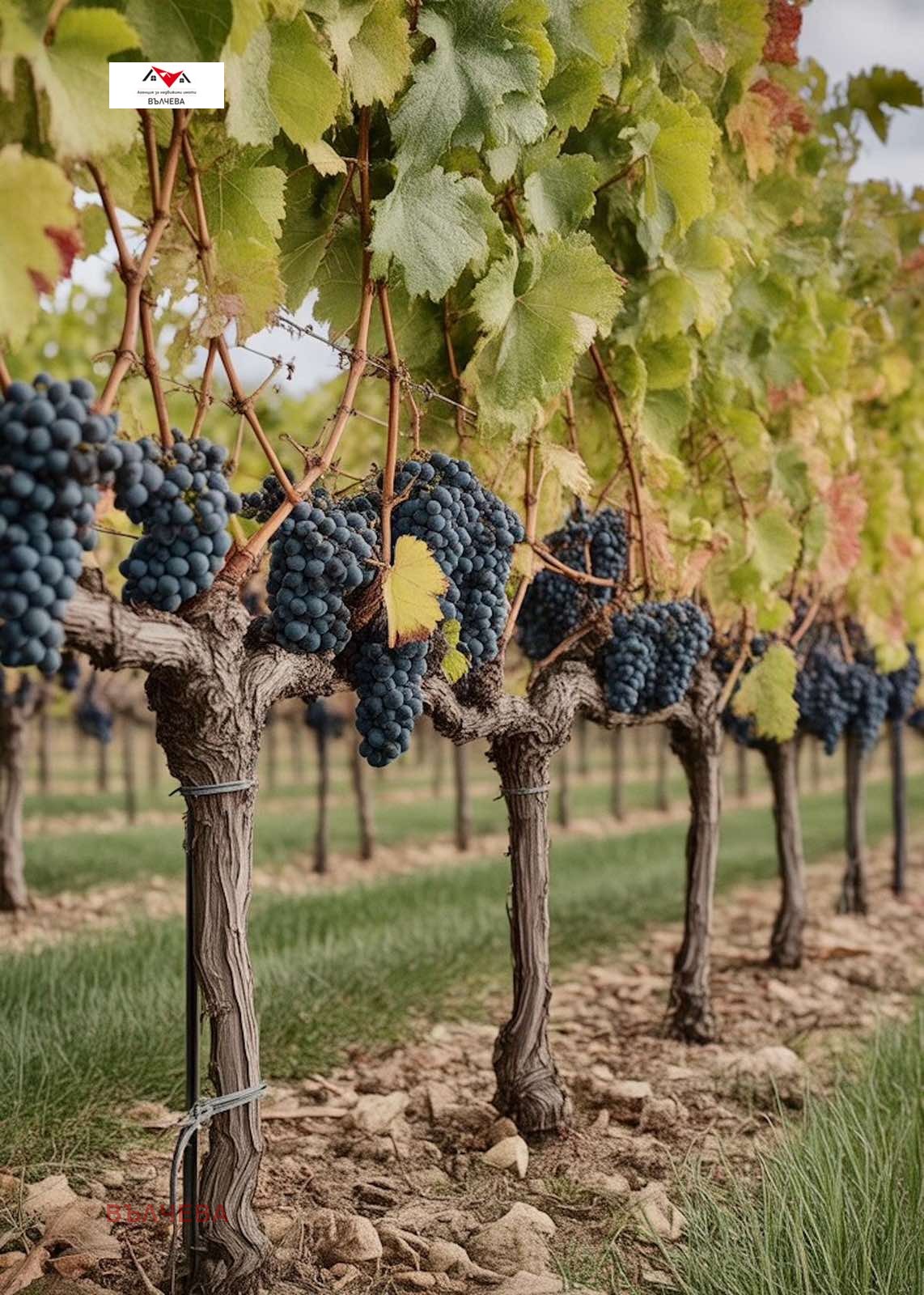 Продава ЗЕМЕДЕЛСКА ЗЕМЯ, гр. Хисаря, област Пловдив