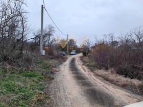 ����� ������� ������,���� �����, �-� �������