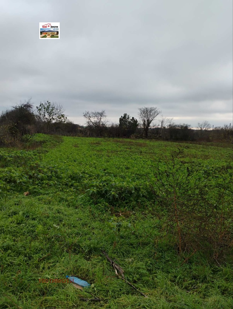 Продава КЪЩА, с. Белгун, област Добрич, снимка 4 - Къщи - 53570234