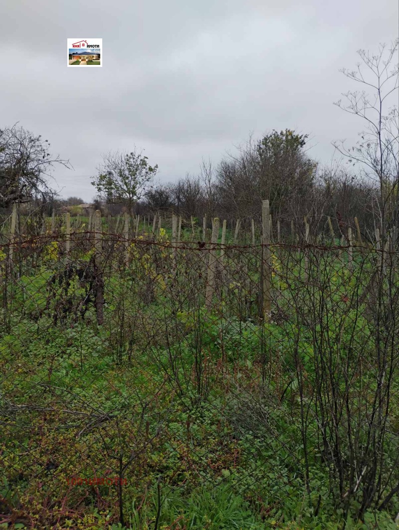 Продава КЪЩА, с. Белгун, област Добрич, снимка 3 - Къщи - 53570234