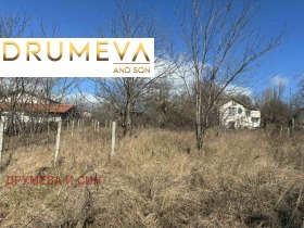 ����� ������� ������,���� �����, �-� ������� - �����