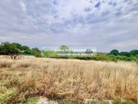 ����� ������� ������,���� �������, �.�. �������