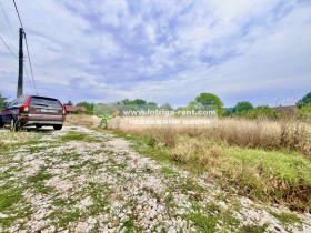 ����� ������� ������,���� �������, �.�. �������